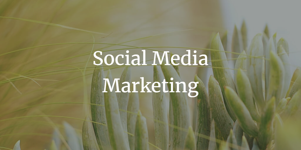 Social Media Marketing in 2023: A Comprehensive Guide to Thriving in the Digital Landscape